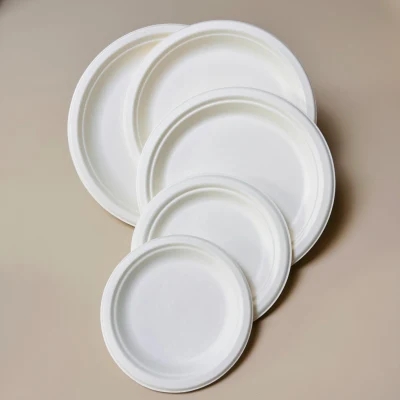 sugarcane plate